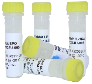 Kingfisher Biotech